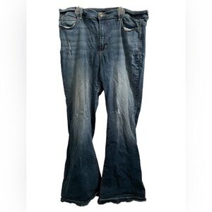 Women’s Plus Size Forever 21 Jeans